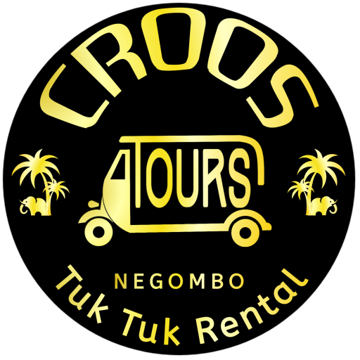 Croos Tours logo